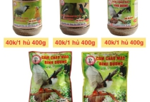 KHI NÀO NÊN LÊN CÁM SỐ 2?