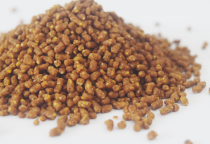 CÁM BIFOOD CÓ TỐT KHÔNG?