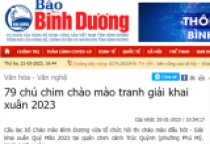 79 chú chim chào mào tranh giải khai xuân 2023