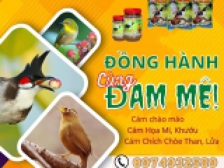 BẠN LỰA CHỌN CÁM BỘ BA PHÉP THUẬT HAY CÁM CHÀO MÀO BÌNH DƯƠNG